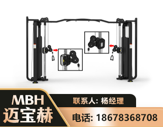 清远大飞鸟训练器